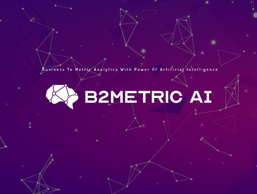 B2Metric AI 